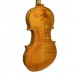 Firefeel S-14644 Violina